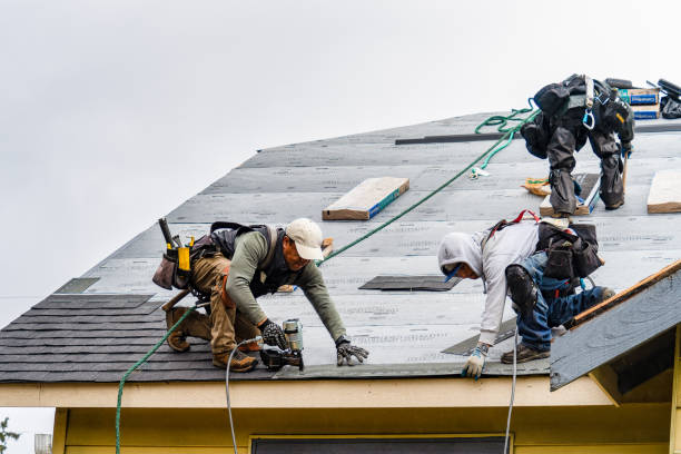 Professional Flat Roof Repair technician working in Chandler, IN